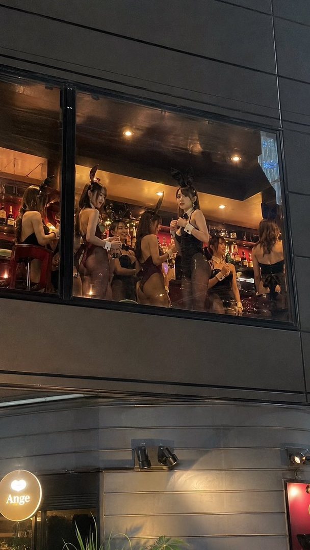 Six young women in bunny girl outfits posing in a bar.