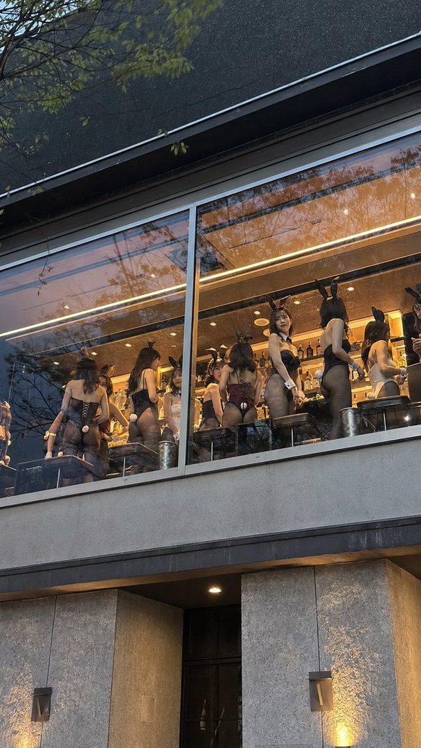 A group of women in bunny costumes posing behind a bar.