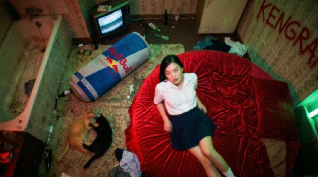 A young woman in a school uniform sits on a large red beanbag chair in a messy room with a giant Red Bull can and two cats.