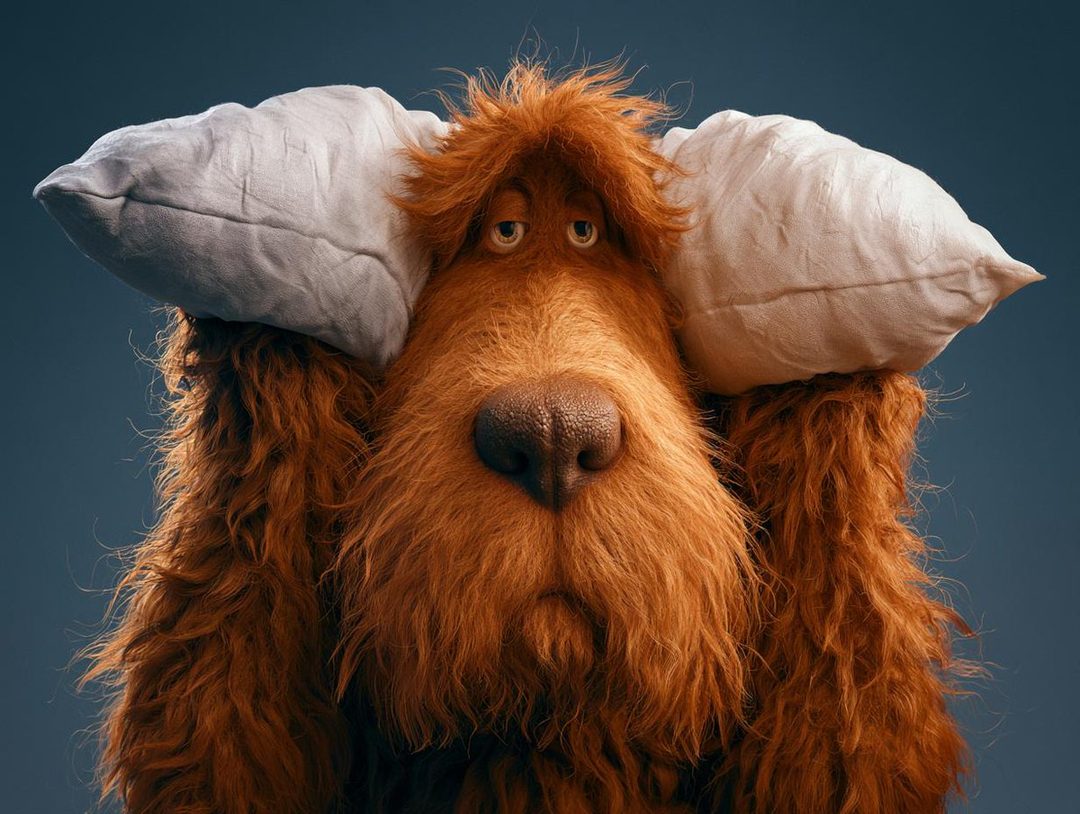 A fluffy brown dog with pillows on its head, looking tired.