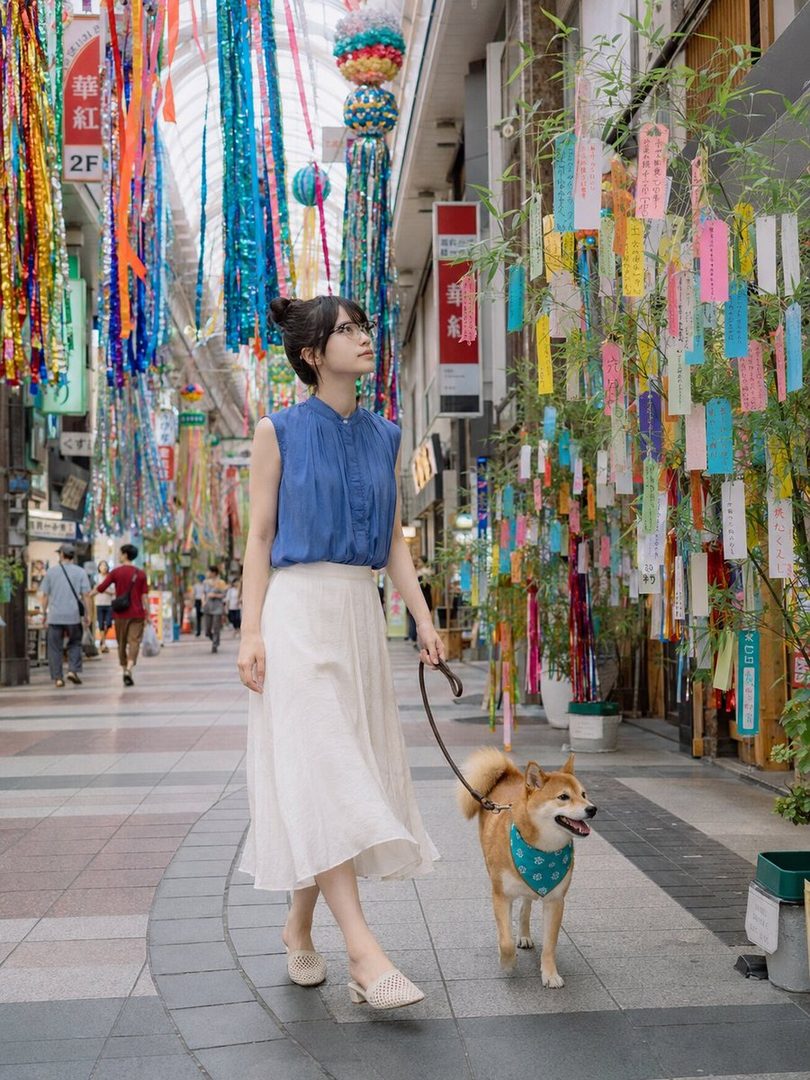 A young Japanese woman with her hair in a bun walks a Shiba Inu dog on a leash down a street decorated with colorful Tanabata streamers.