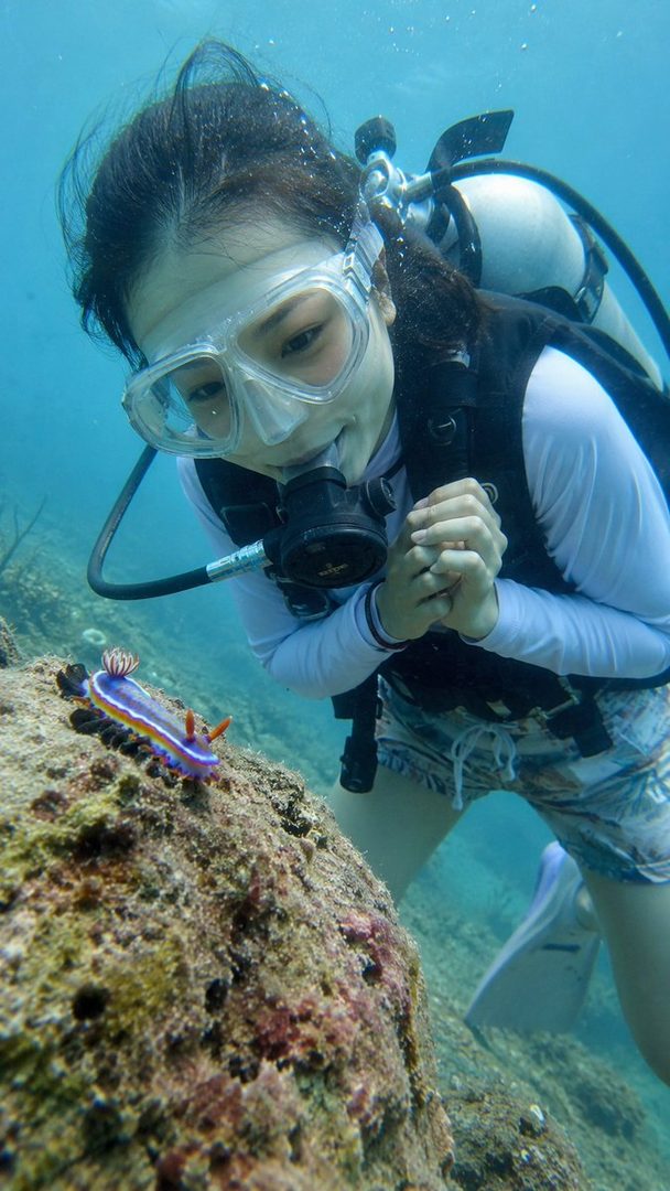 A woman in scuba gear observes a colorful sea slug on a rock underwater.