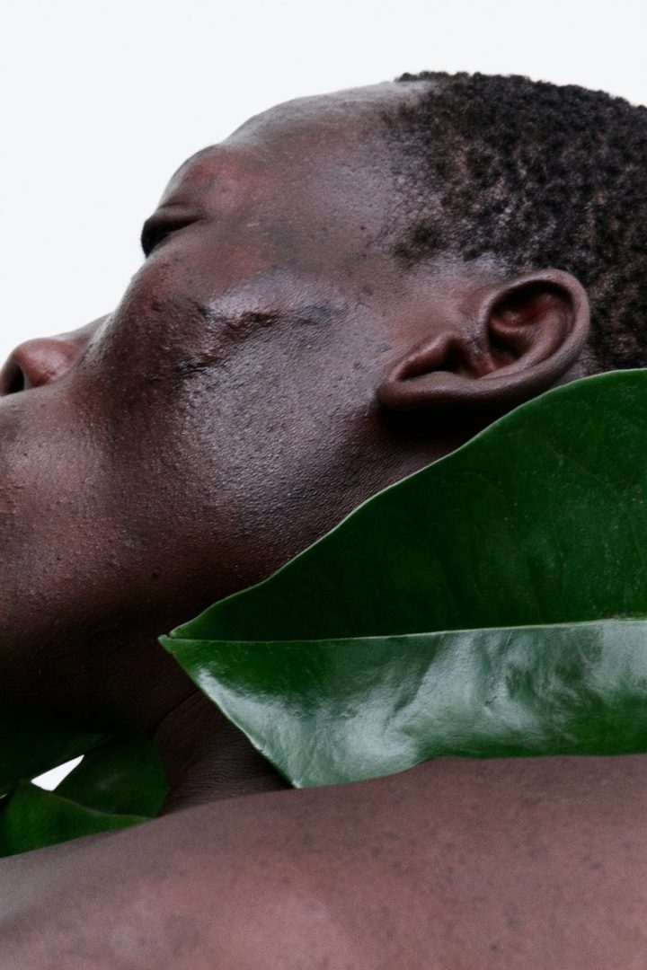 Close-up portrait of a person's face and shoulder, partially obscured by large green leaves, with a white background.