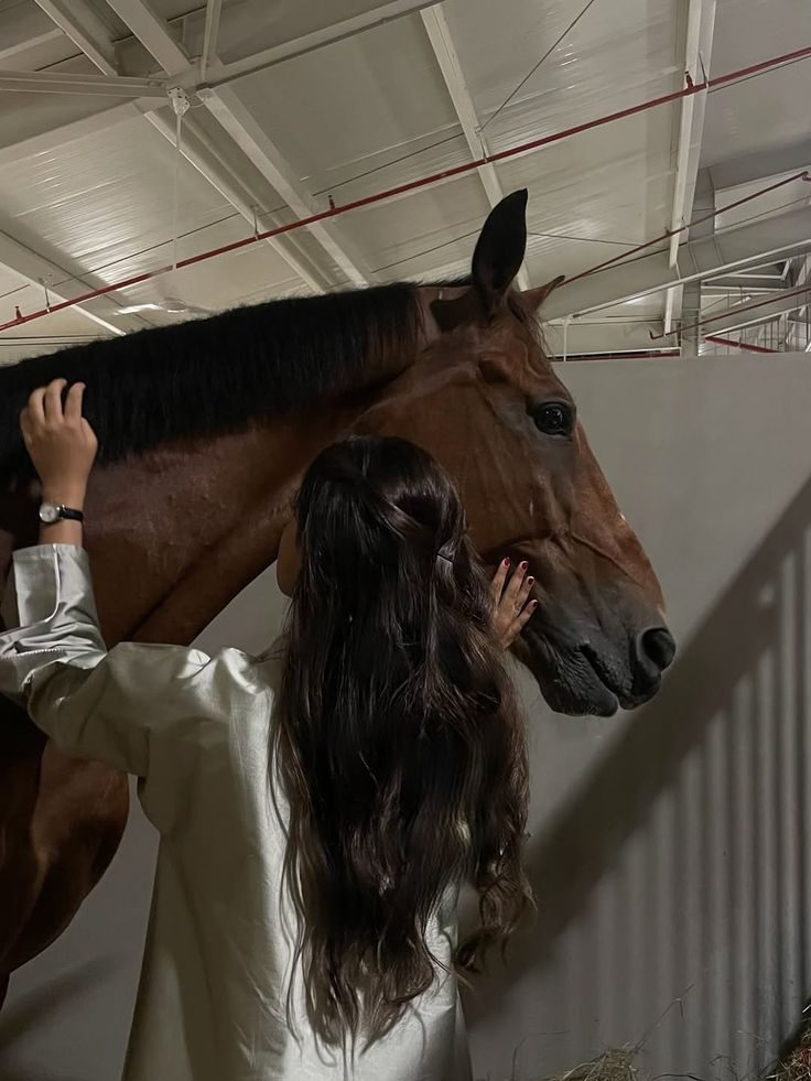 A person gently petting a horse in an indoor stable.
