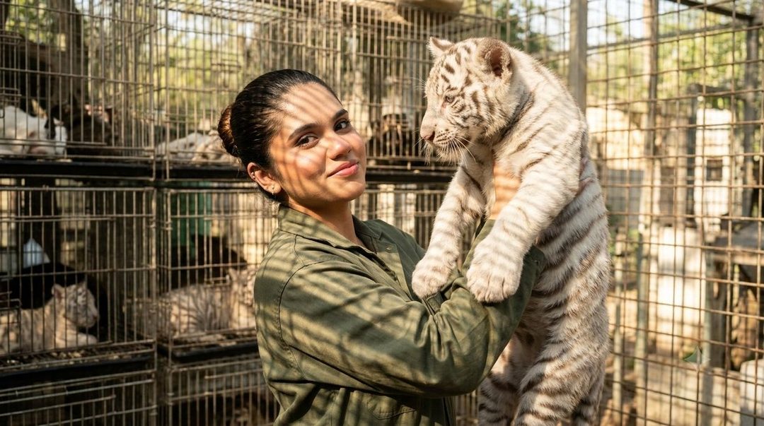 A woman holding a white tiger cub in front of cages.