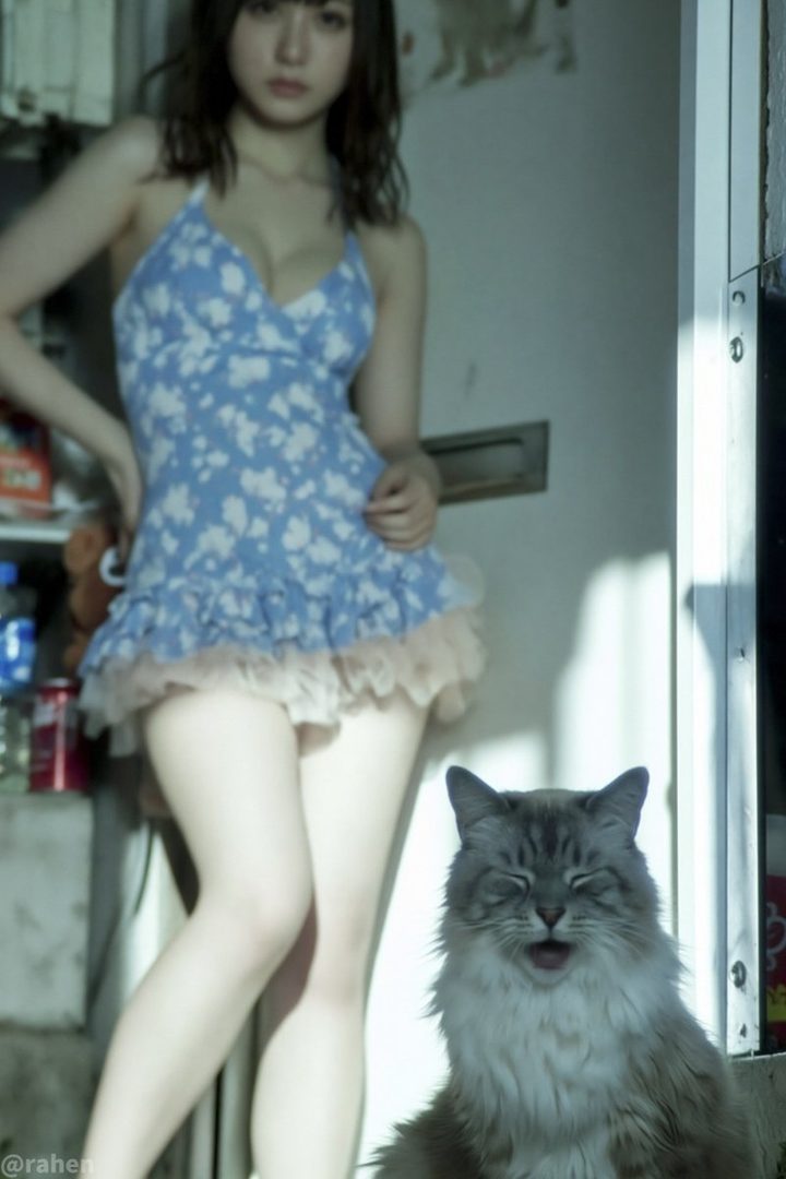 A young woman in a blue floral dress stands next to a cat, with sunlight streaming in.